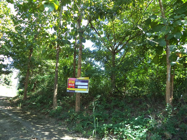 ที่ดินเปล่า โครงการรอยัลปิง เชียงใหม่ (Land for Sale at Royal Ping, Chiang Mai)