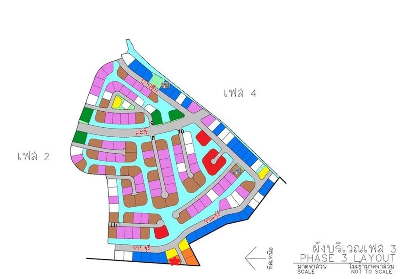 full_20210126080230.jpg