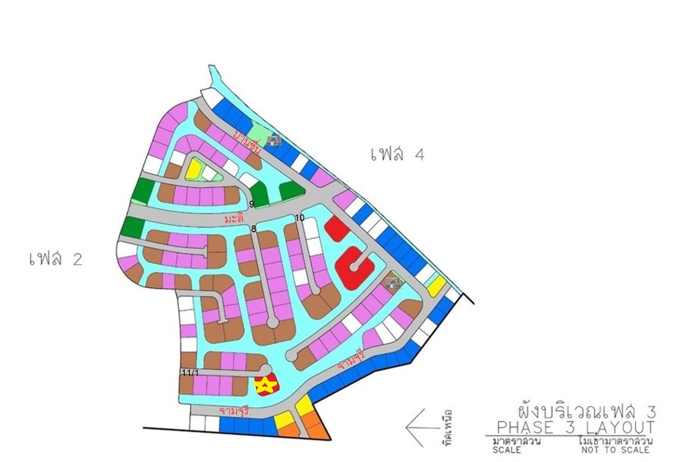 full_20210126083819.jpg