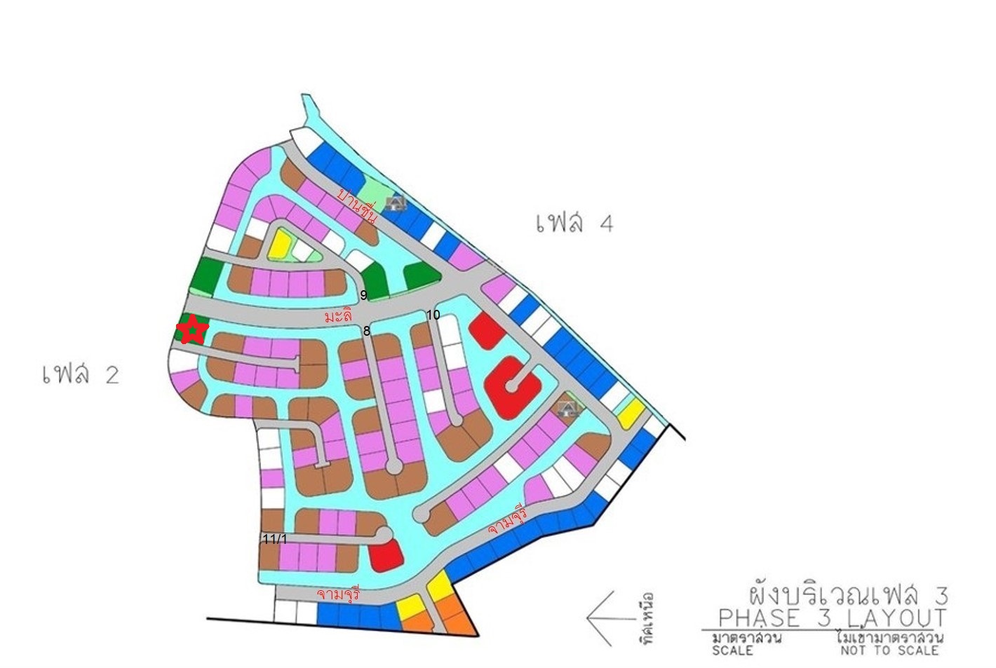 full_20210126110515.jpg