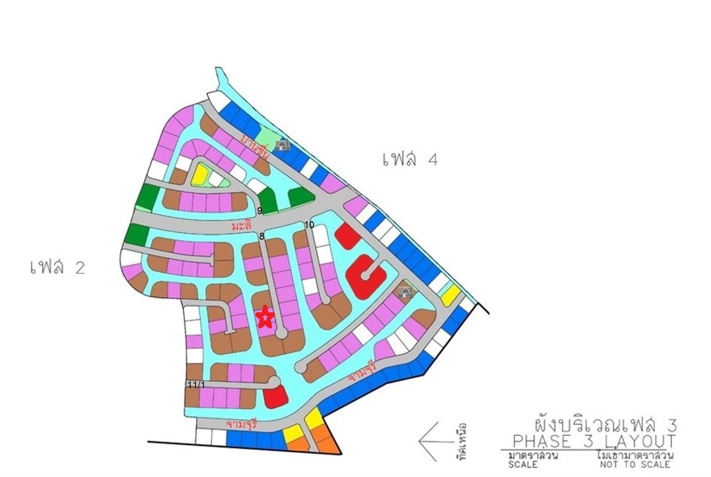 full_20210126140911.jpg
