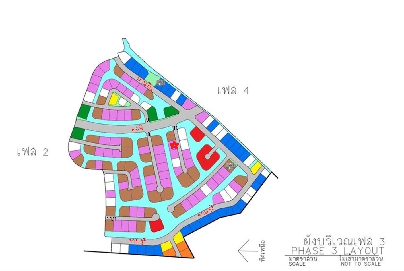 full_20210126144514.jpg
