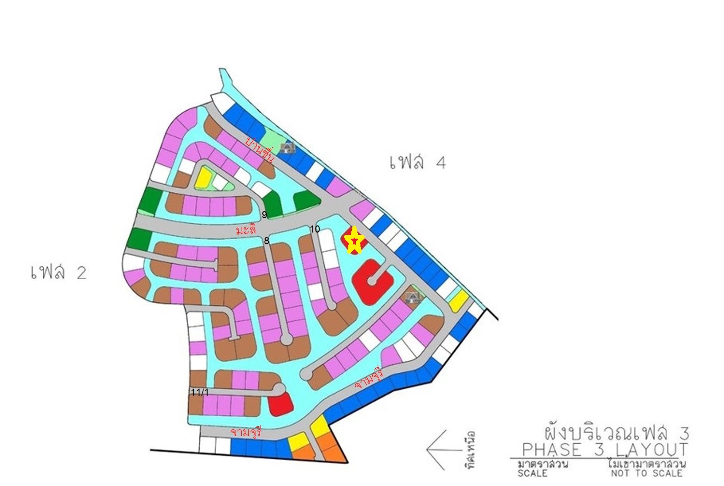 full_20210213112026.jpg