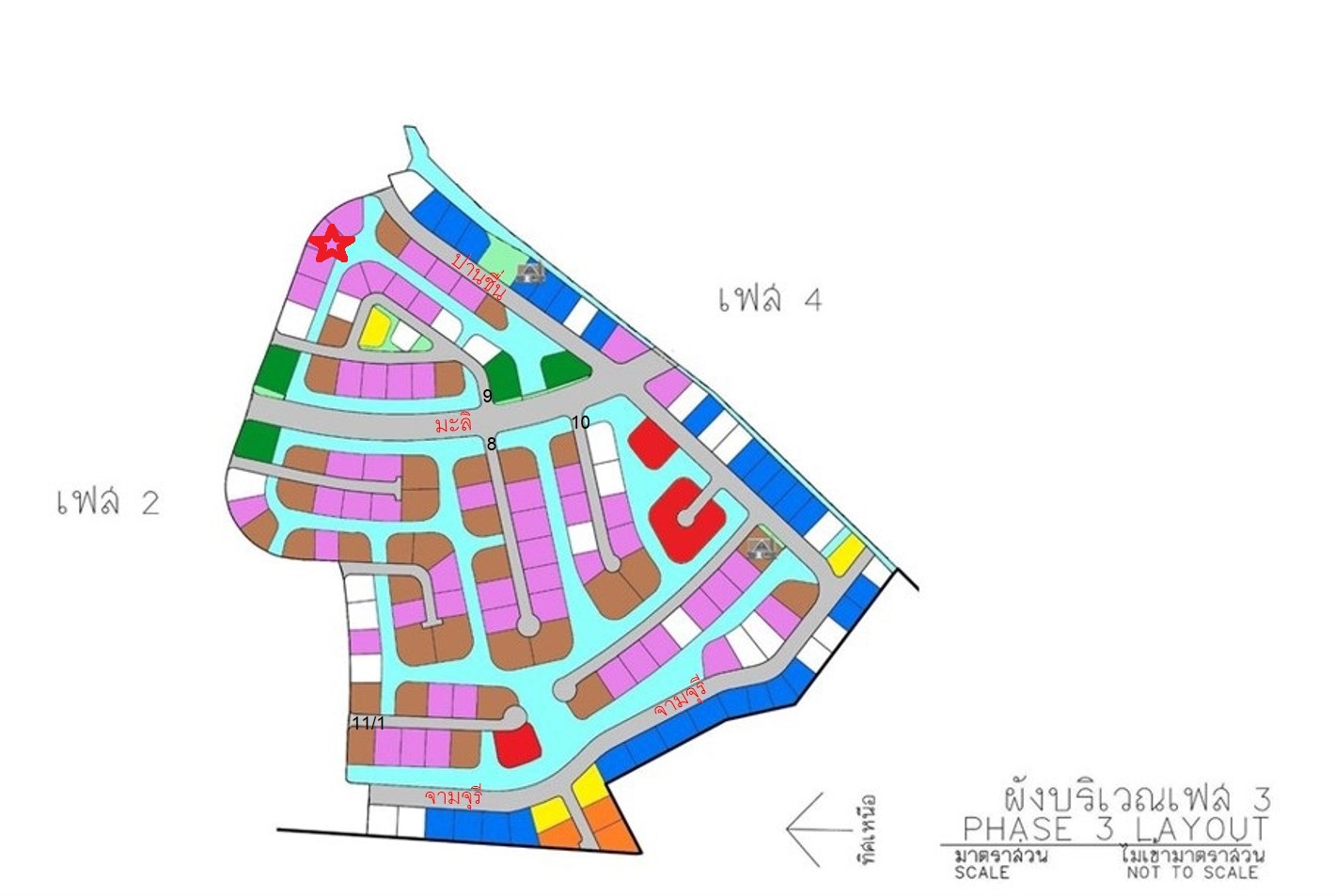 full_20210213121125.jpg