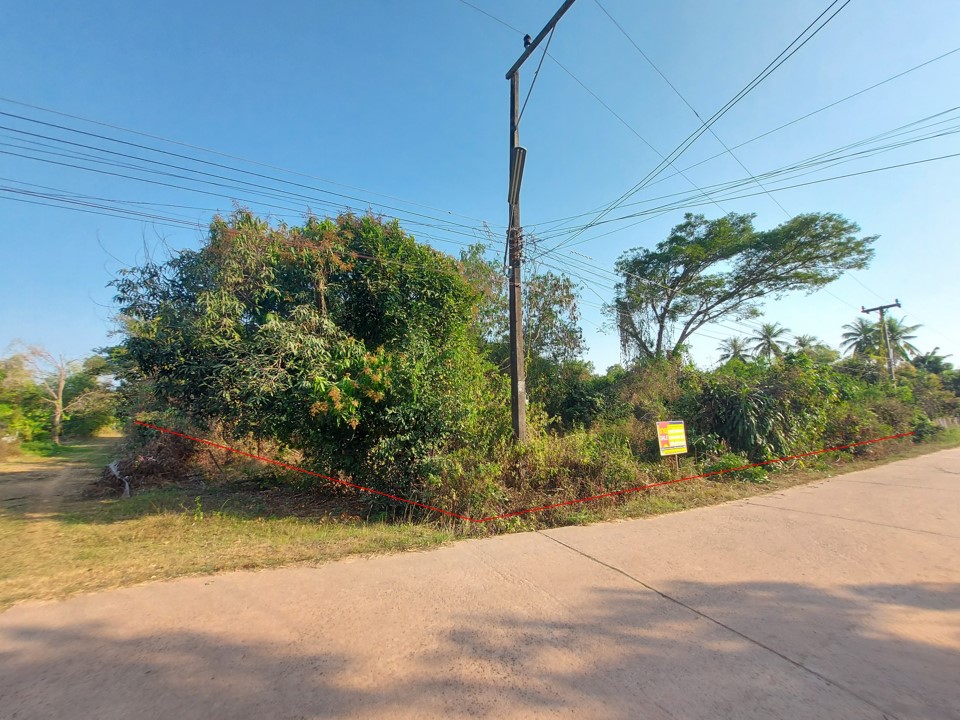 full_20210217105347.jpg