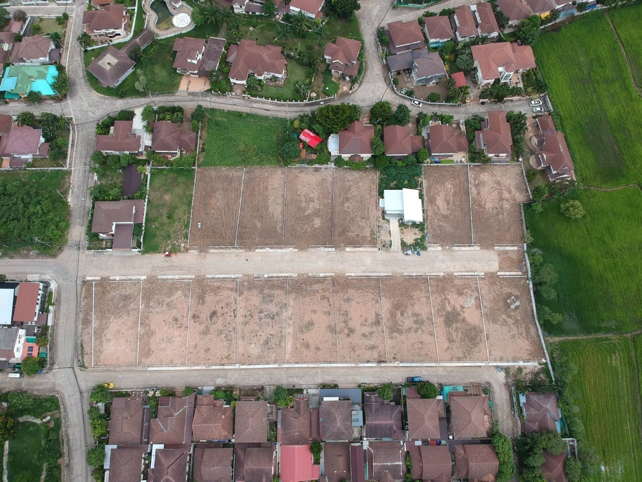 full_20210304175818.jpeg
