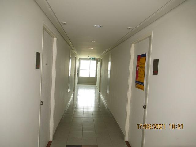 full_20210318154649.jpg
