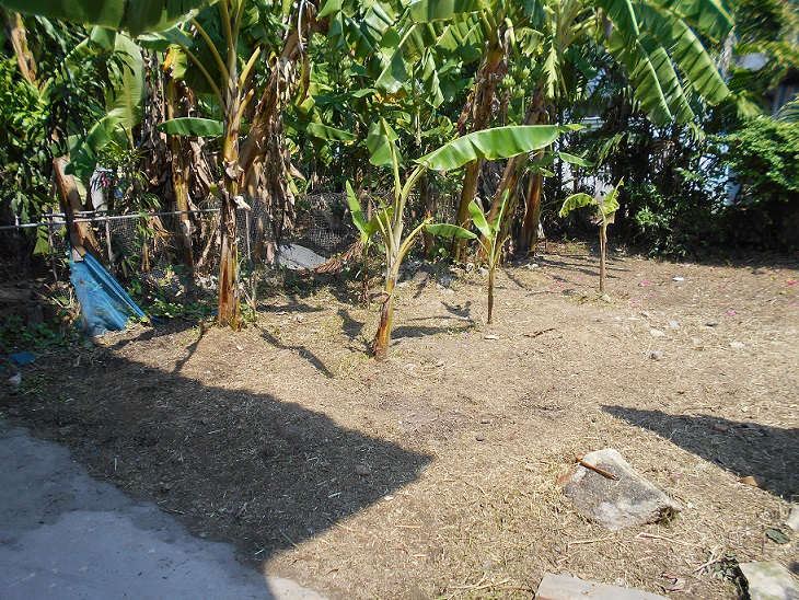 full_20210405084833.jpg