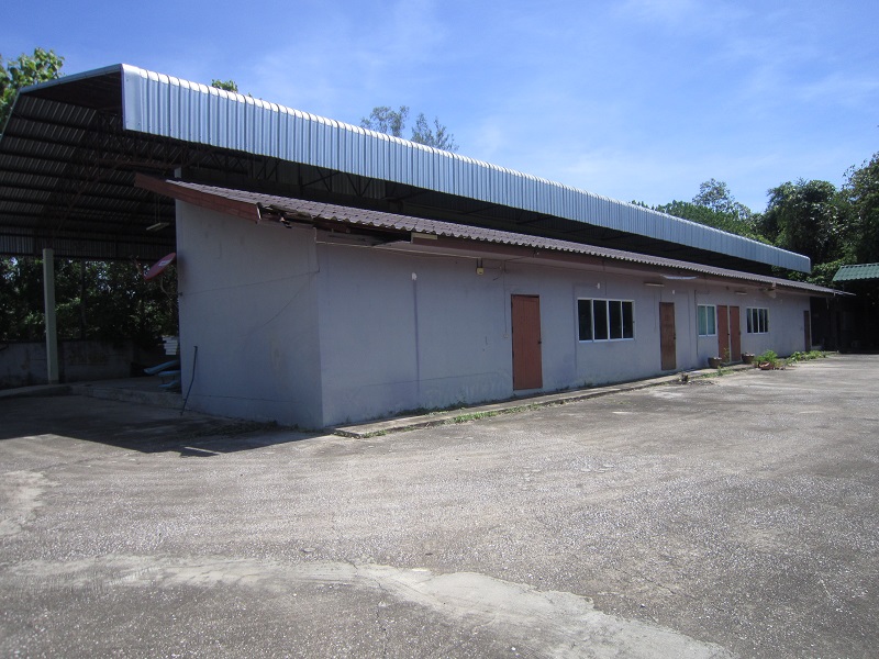 full_20210528113636.jpg