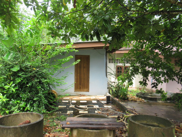 full_20211127215725.jpg