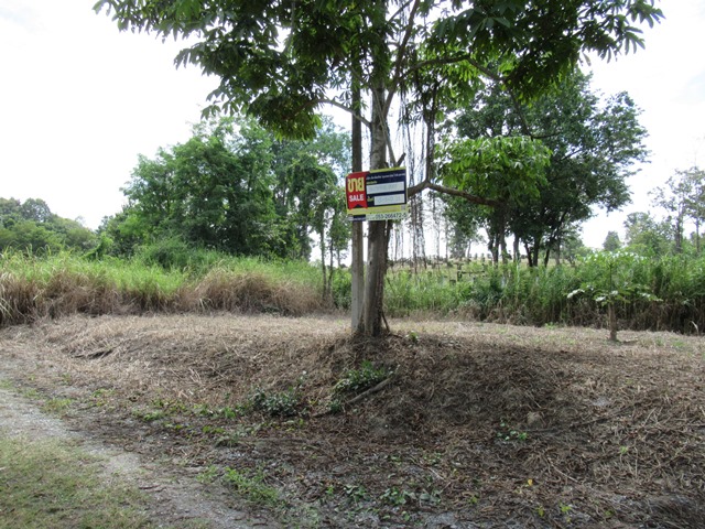 ที่ดินเปล่า โครงการเลควู๊ดฮิลล์ เชียงใหม่