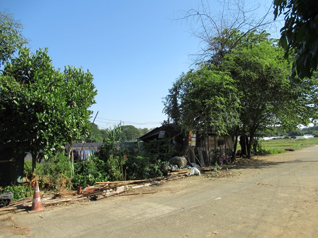 full_20211229115349.jpg