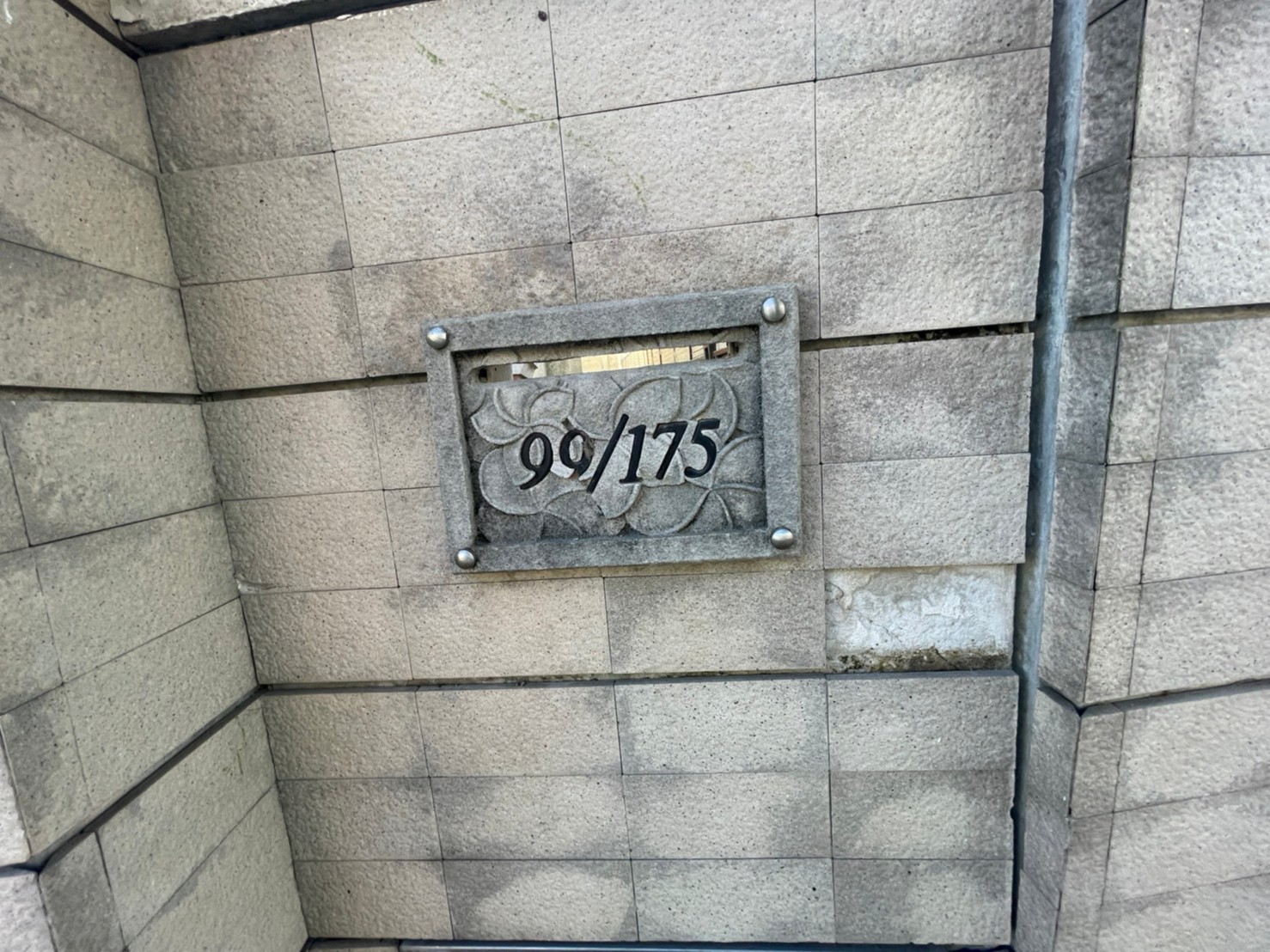 full_20220107095002.jpg