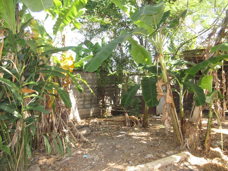 full_20220110114704.jpg