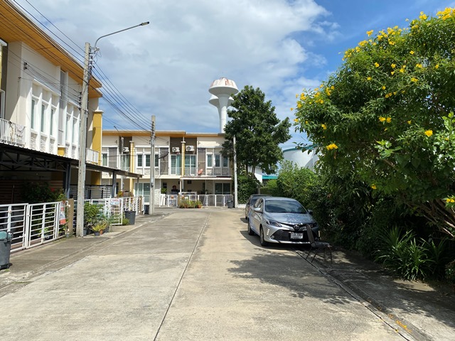 full_20220111104818.jpg