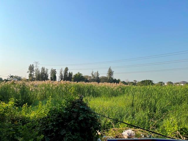 full_20220125090902.jpg