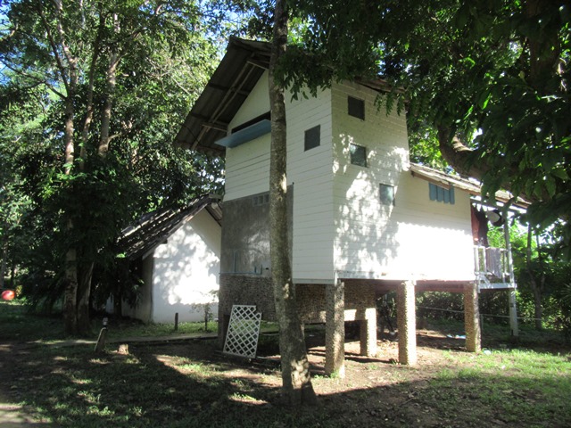 full_20220325110545.jpg