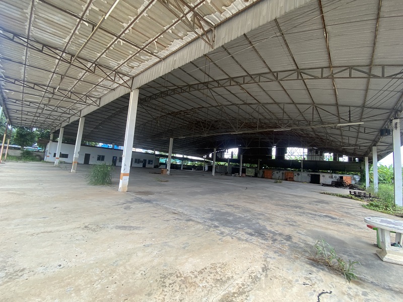 full_20220429171641.jpg