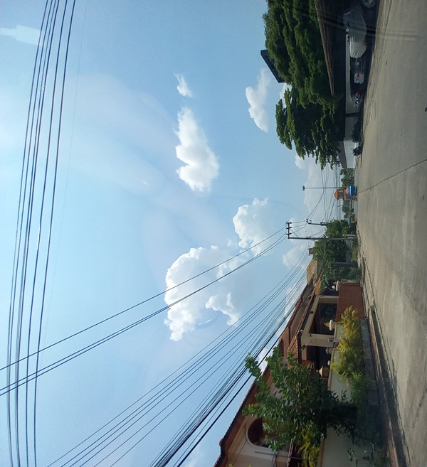 full_20220502181739.jpg