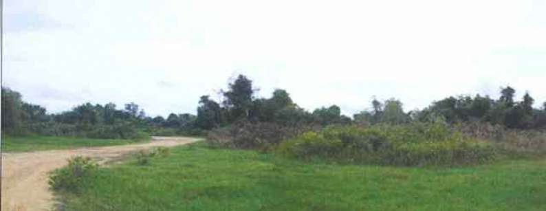 full_caab4efd060b3492ba16599c956204b7fb209900.jpg