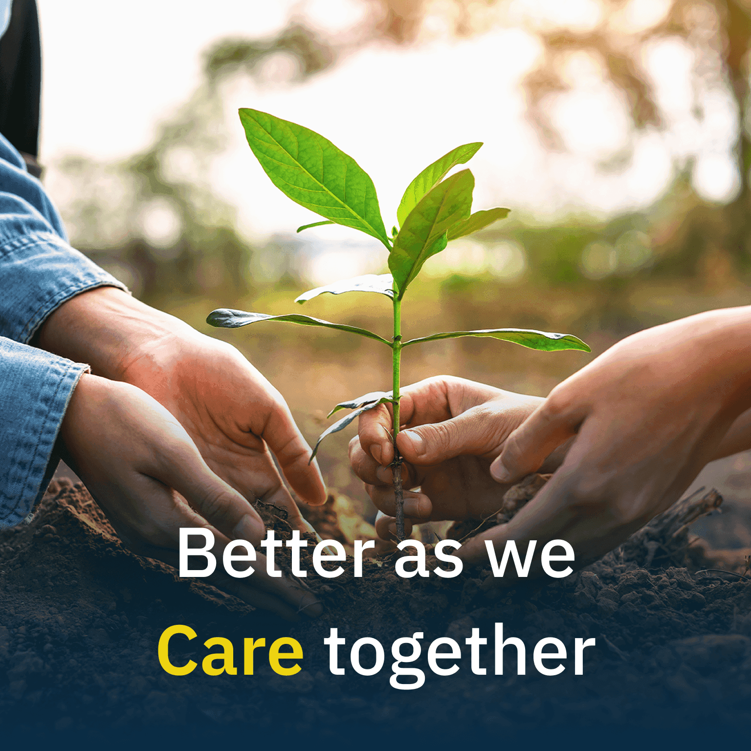 Better as we care together