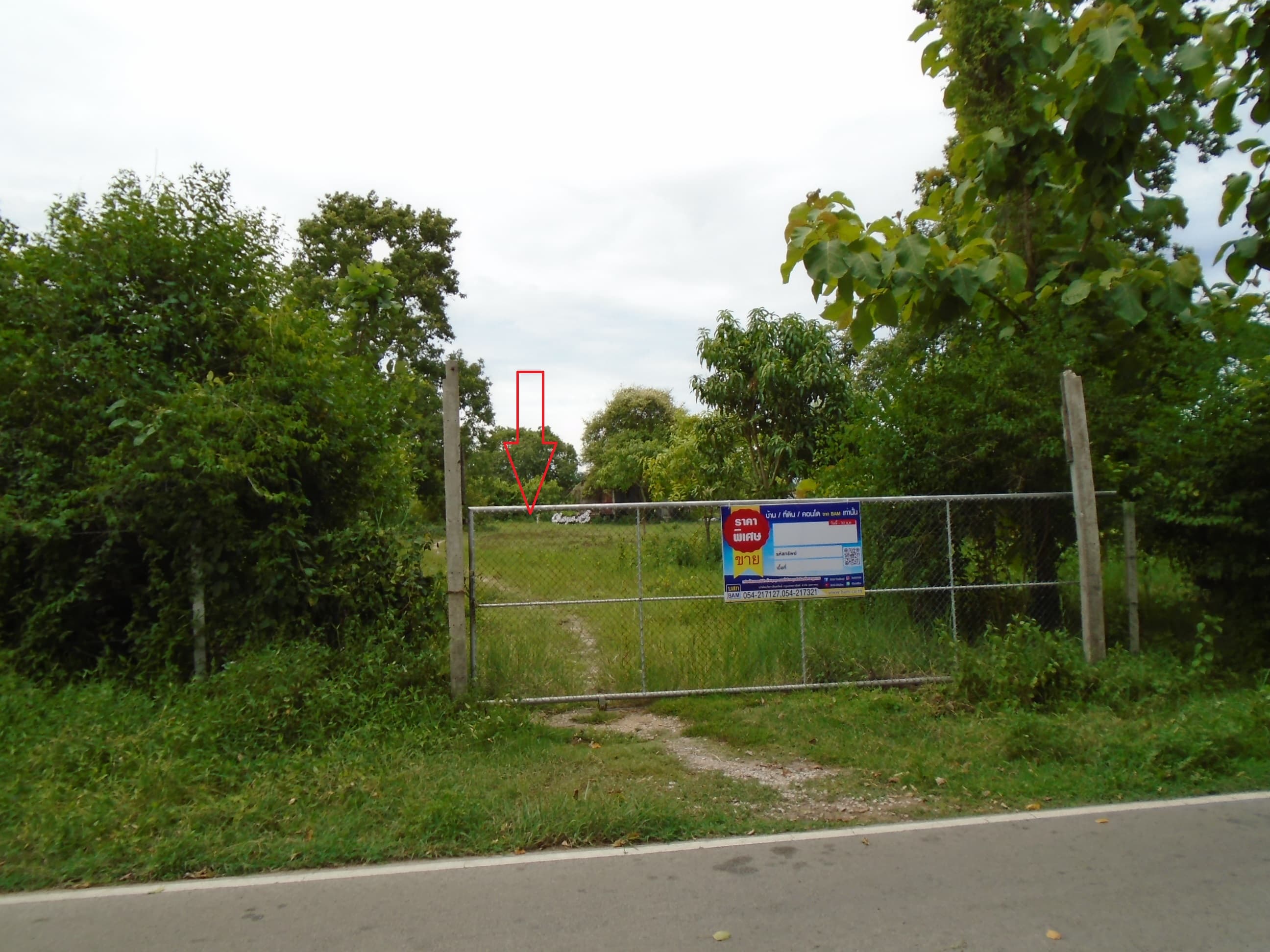 DSC05929.JPG