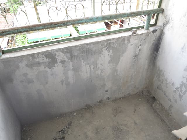 full_20210810090836.jpg