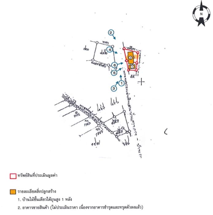ผัง.jpg