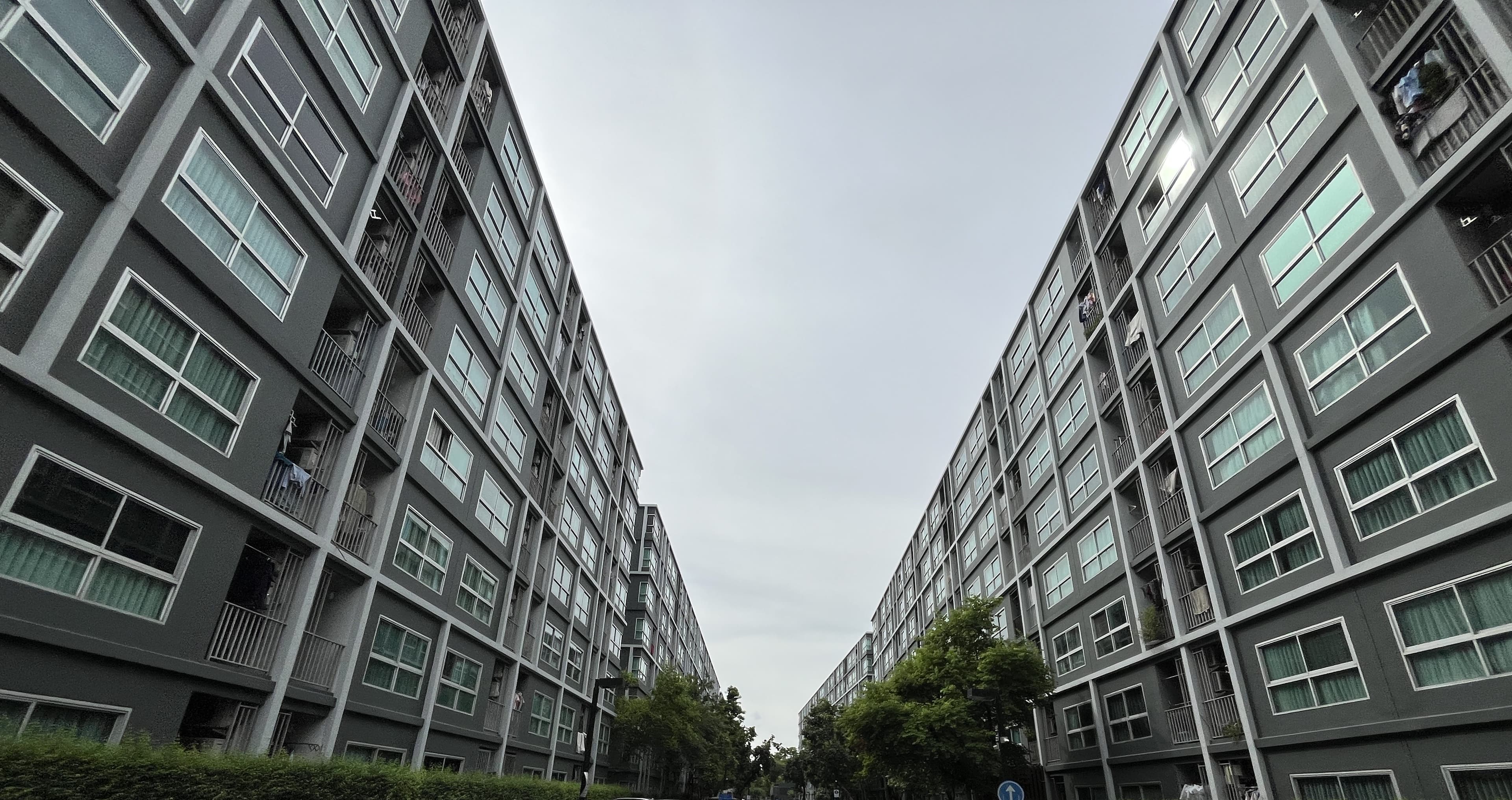 833498ef-151517-0.jpg