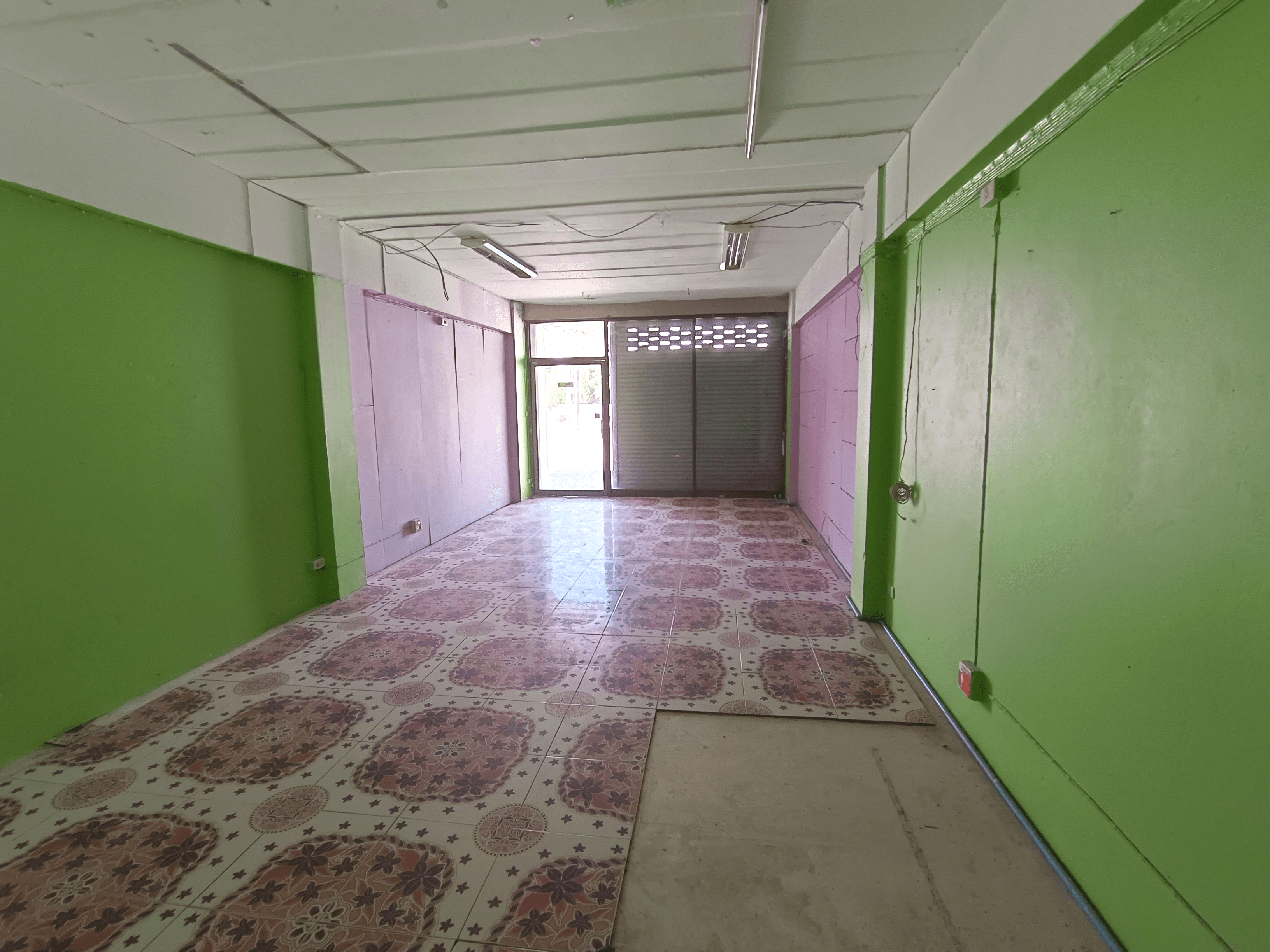 image (37).png
