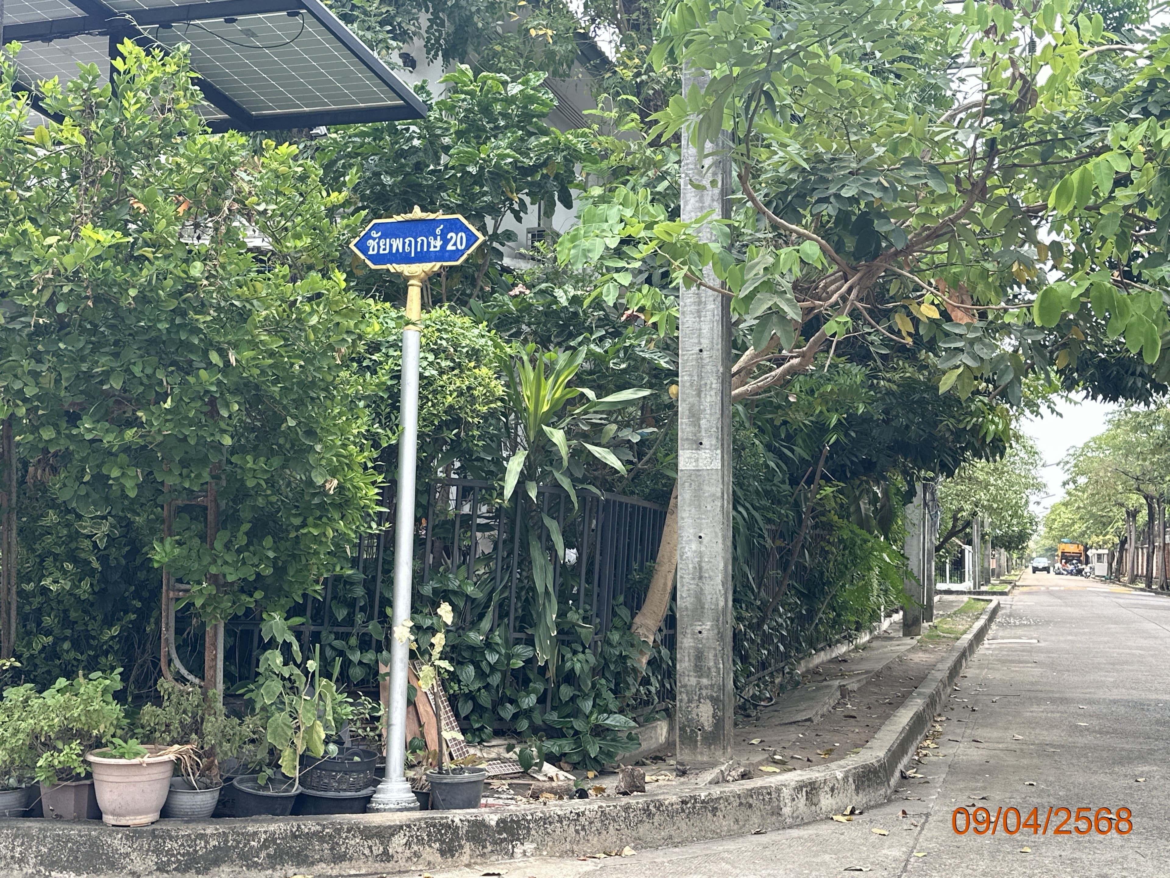TC_02024.JPG