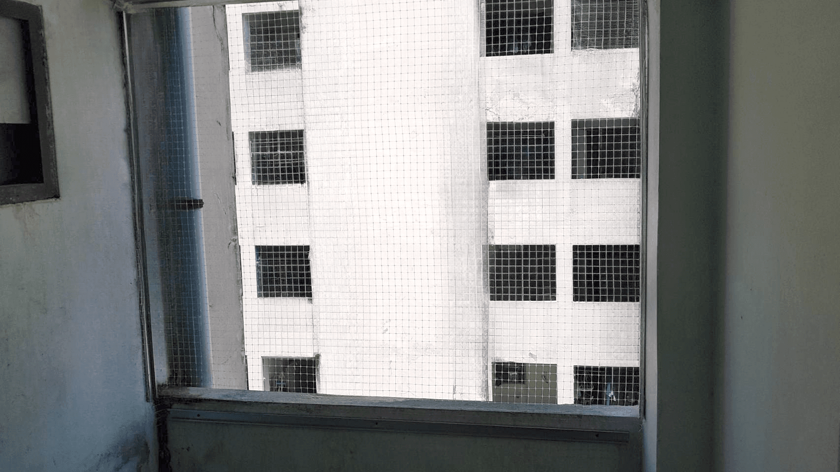 image (13).png
