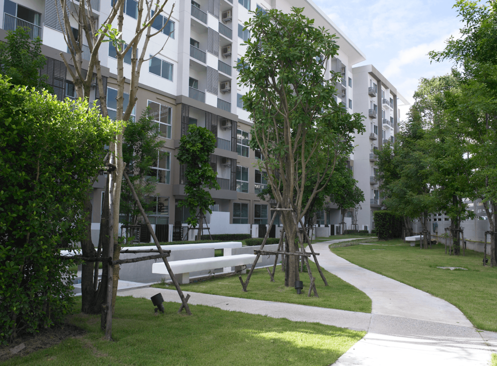 558e3ee4-65358-0.jpg