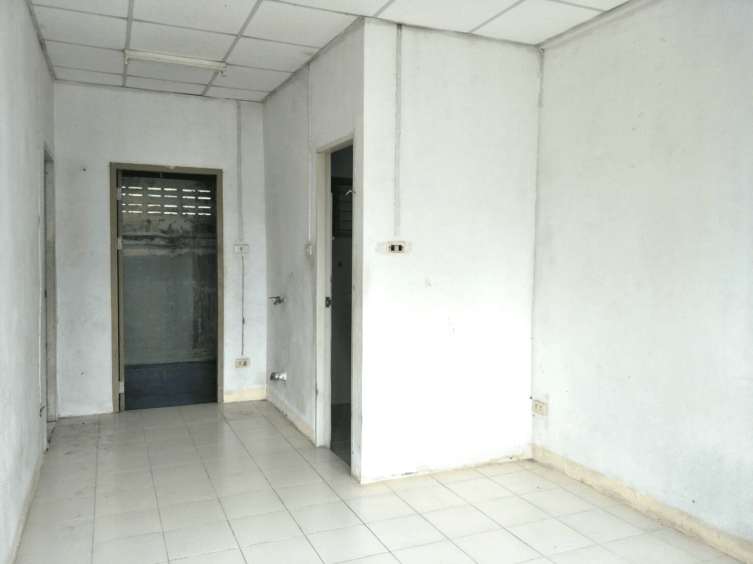 image - 2025-08-29T011934.163.png