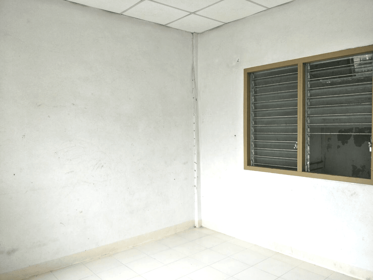 image - 2025-08-29T011933.309.png