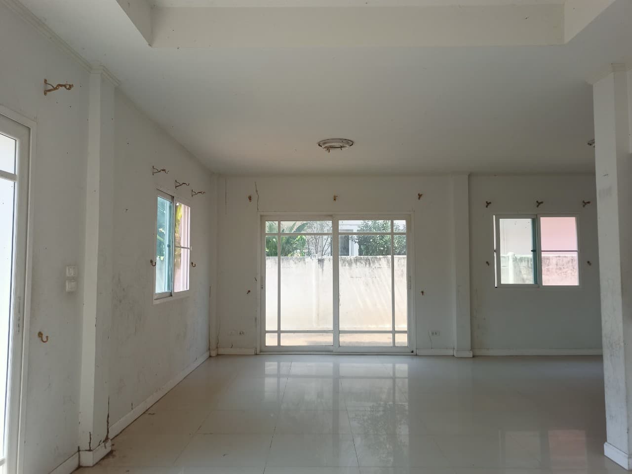 line_2410462341527.jpg