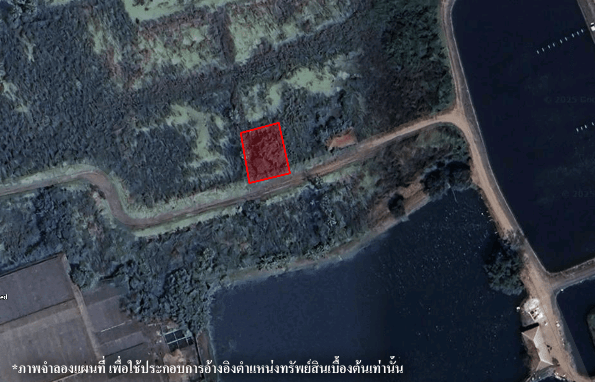 image (335).png