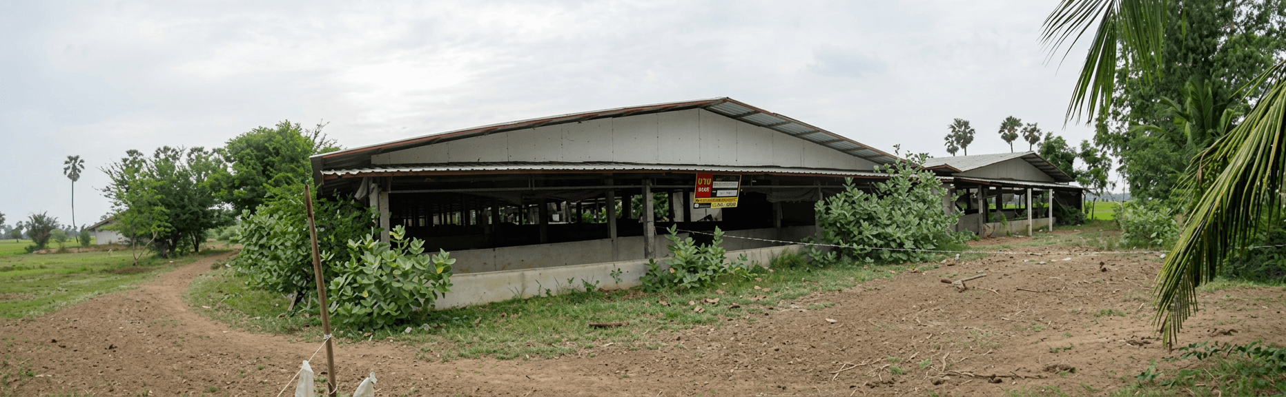 freepik_2739008319.png