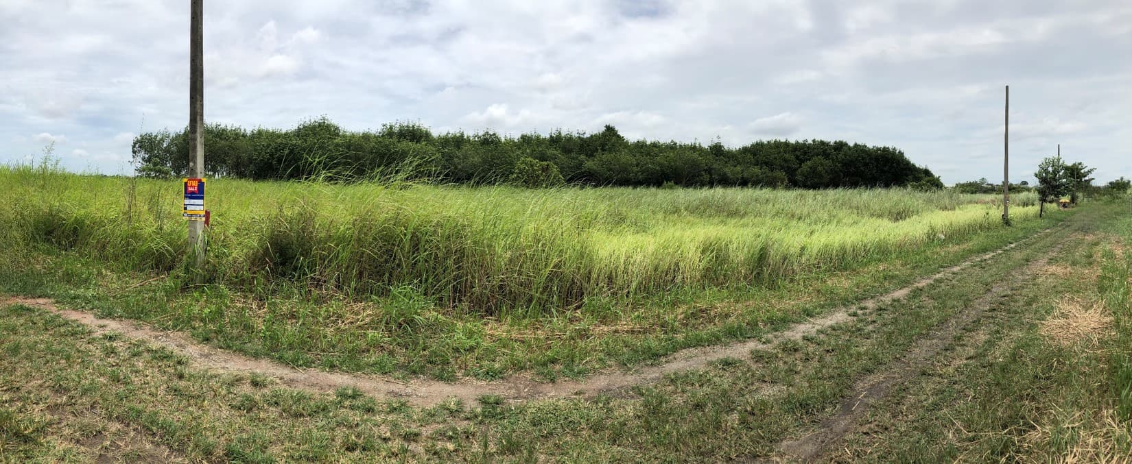 full_20190807144045.jpg
