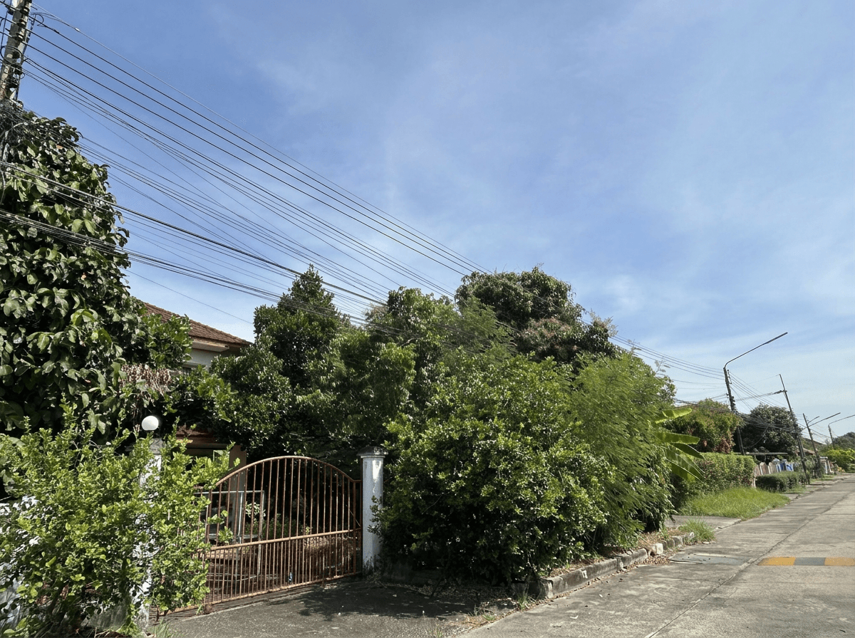 freepik__text-to-image__88194.png