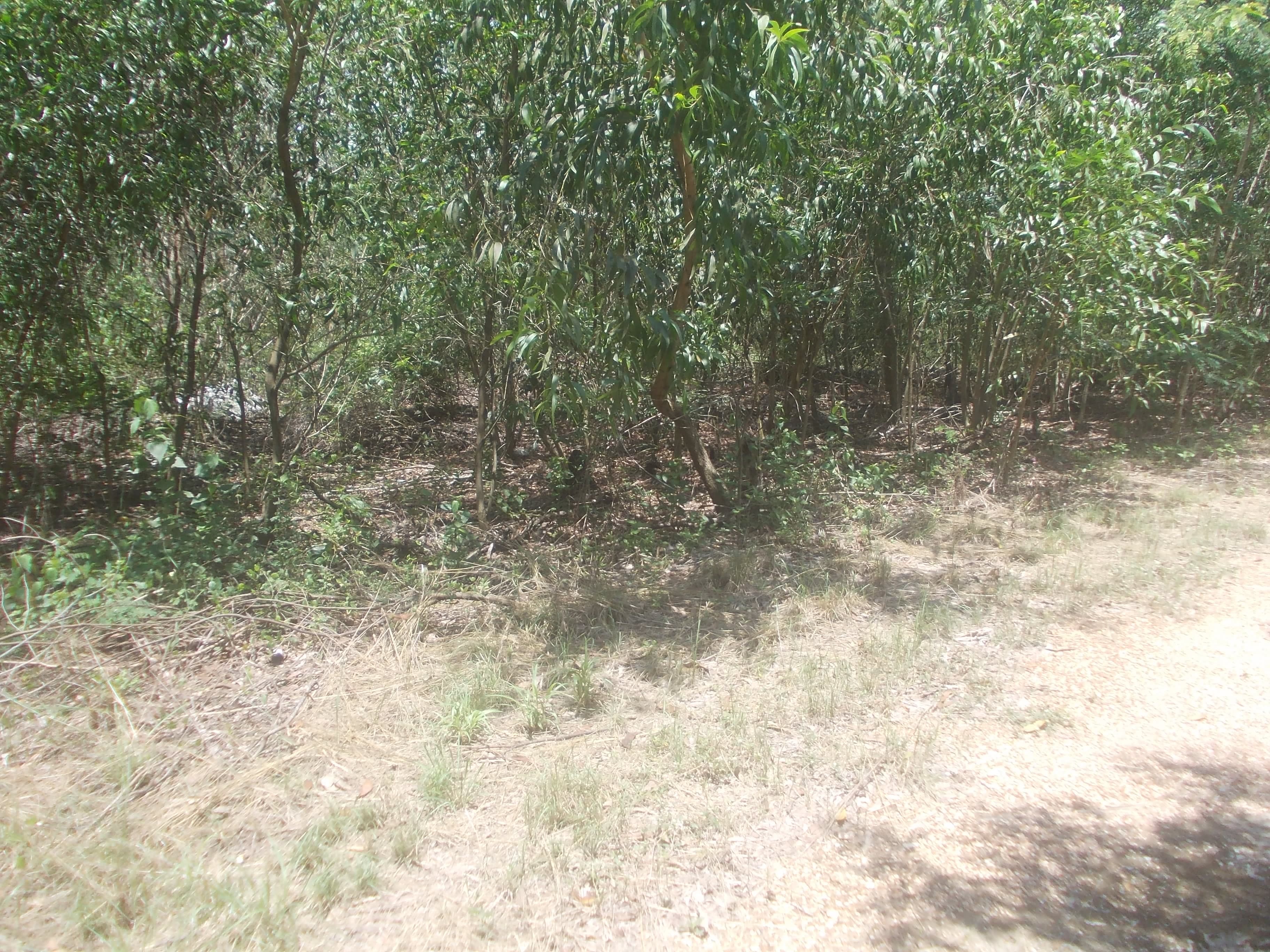 DSCN1841.JPG