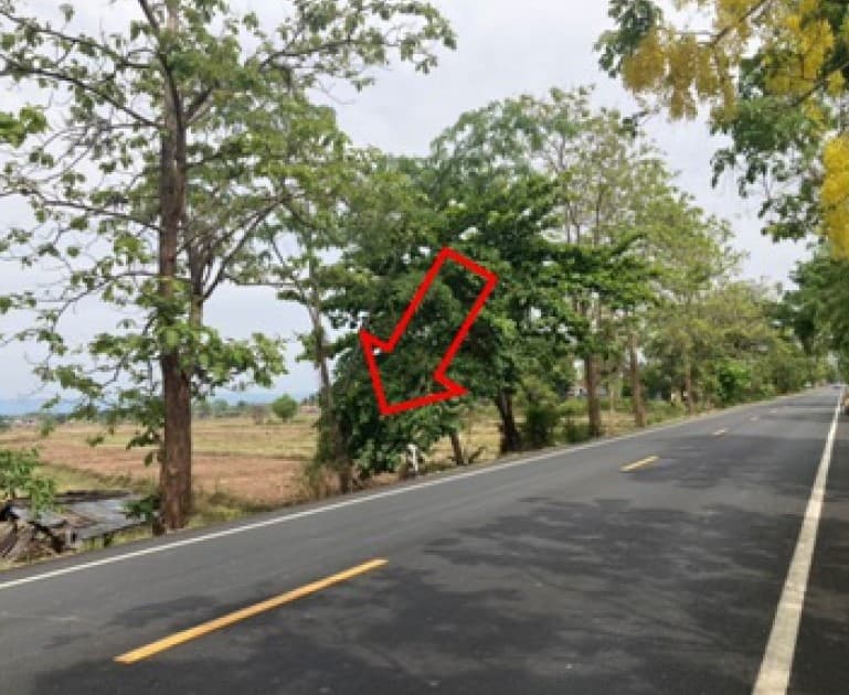 สไลด์3.JPG