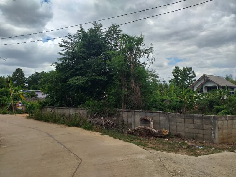 full_20190718164553.jpg