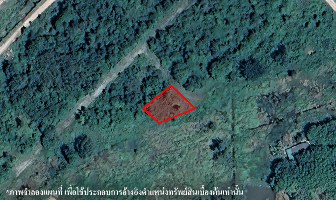 image (478).png