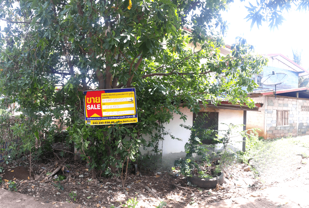 Canva Bamm (85).png