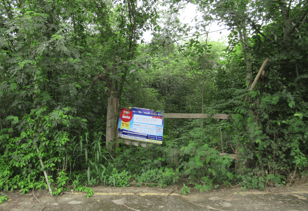 image (3).png
