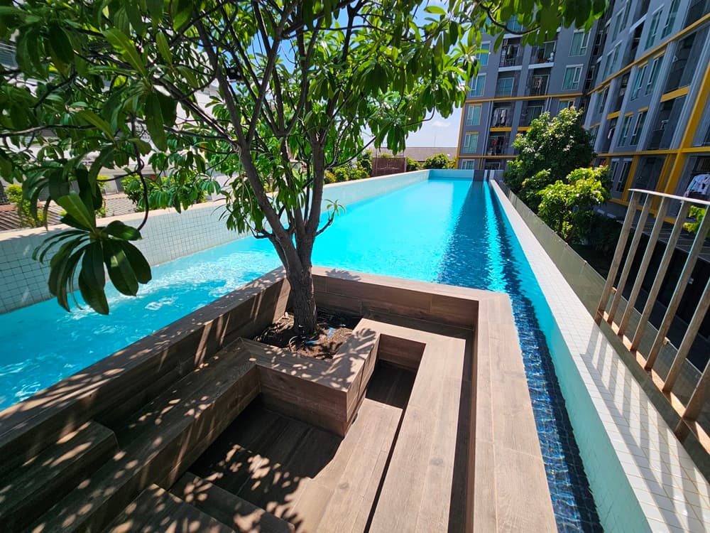 สระ พลัม.jpg