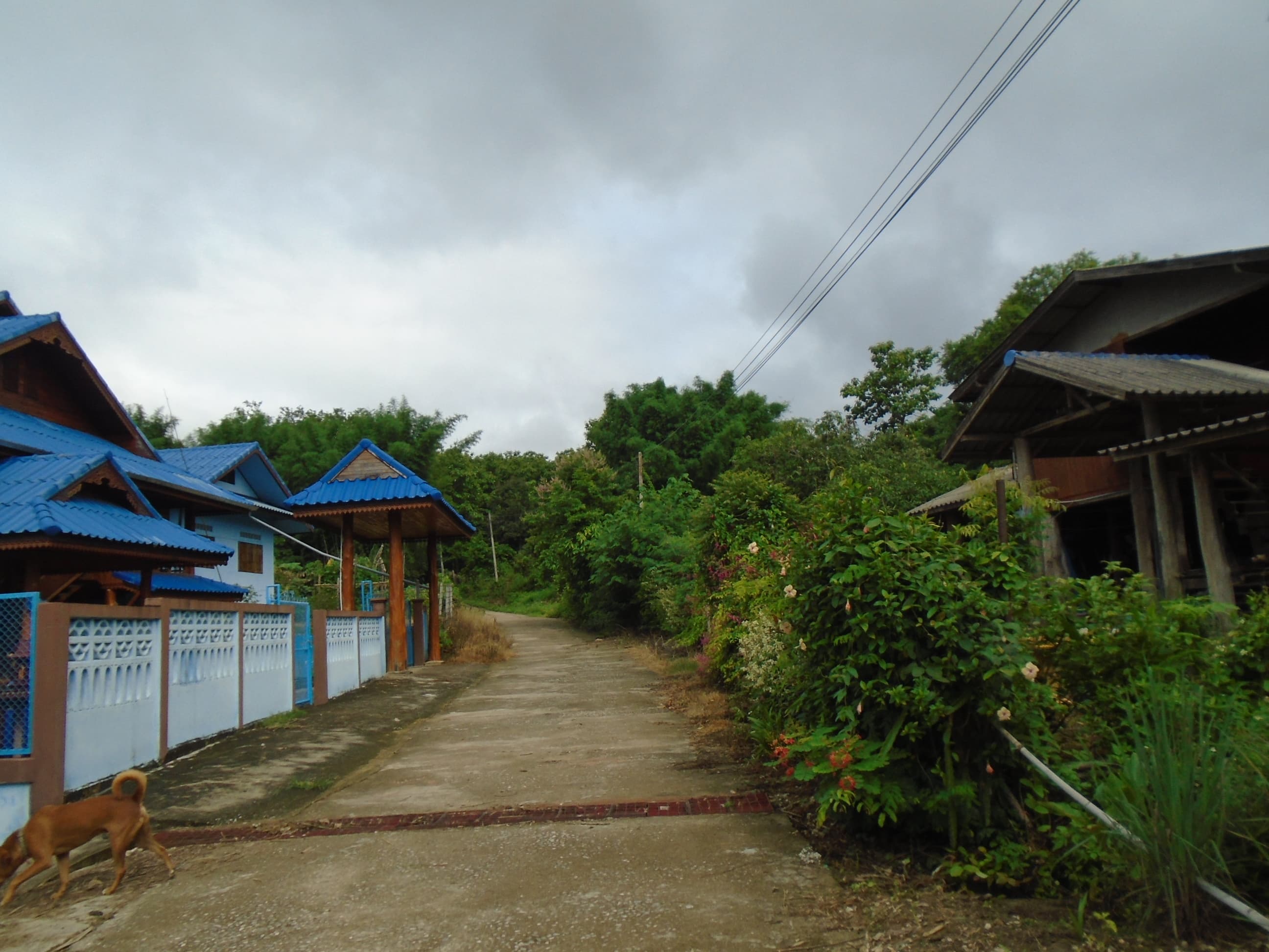 DSC01073.JPG