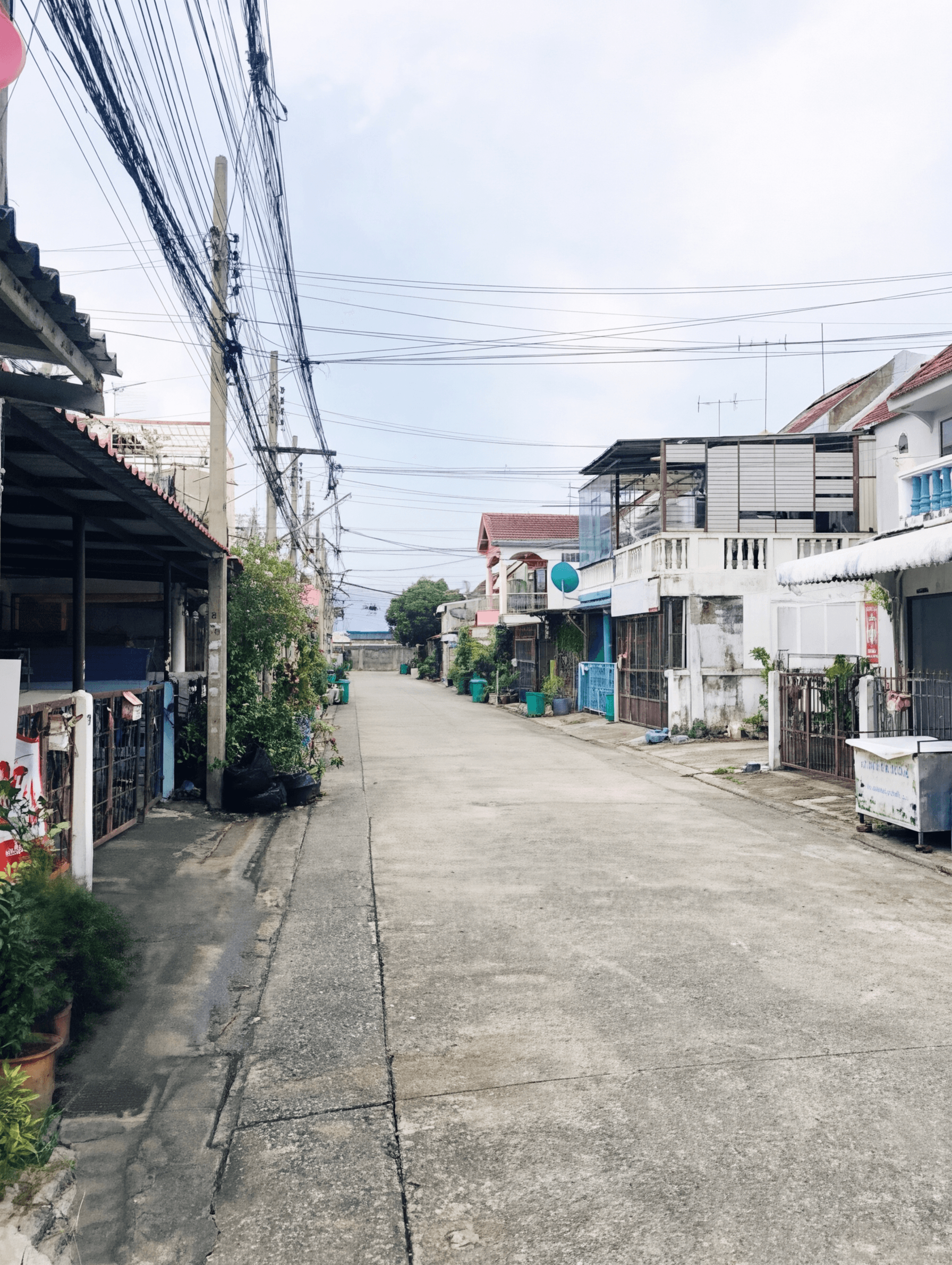 freepik_2_0013.png