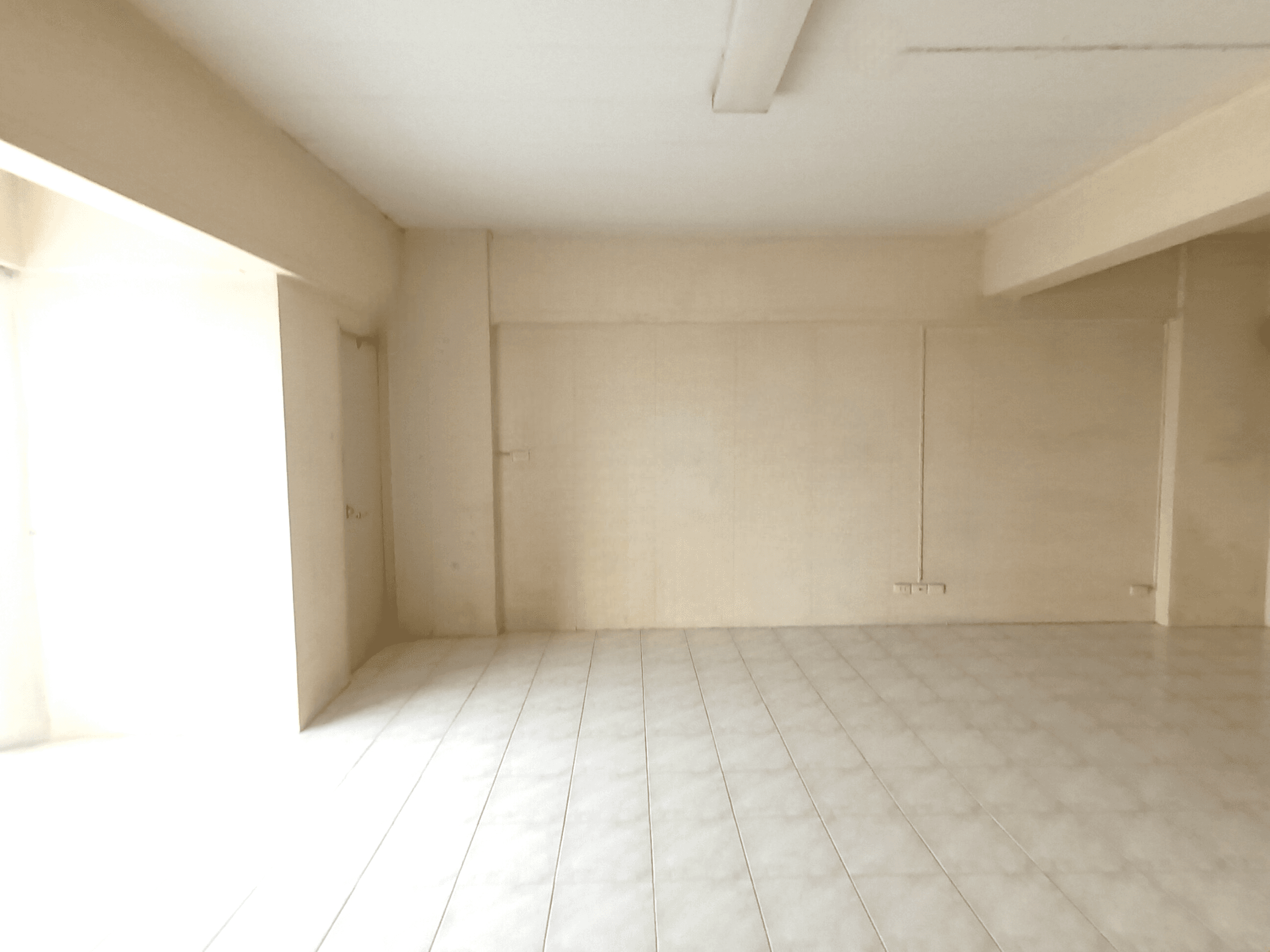 image (11).png